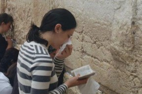 娱乐吃瓜君和毒舌,揭秘娱乐圈背后的真相