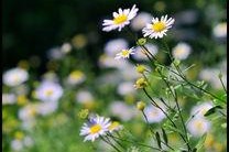 草草草视频,揭秘短视频背后的创作魅力